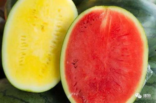 吃瓜群众种植物